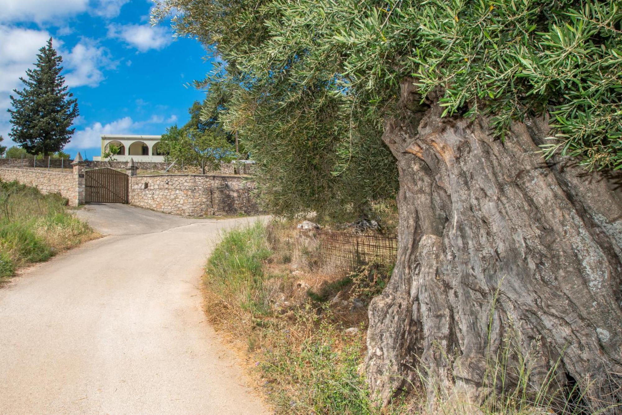 Leandros Private House Near Shipwreck Beach By "Elite" Maries  外观 照片